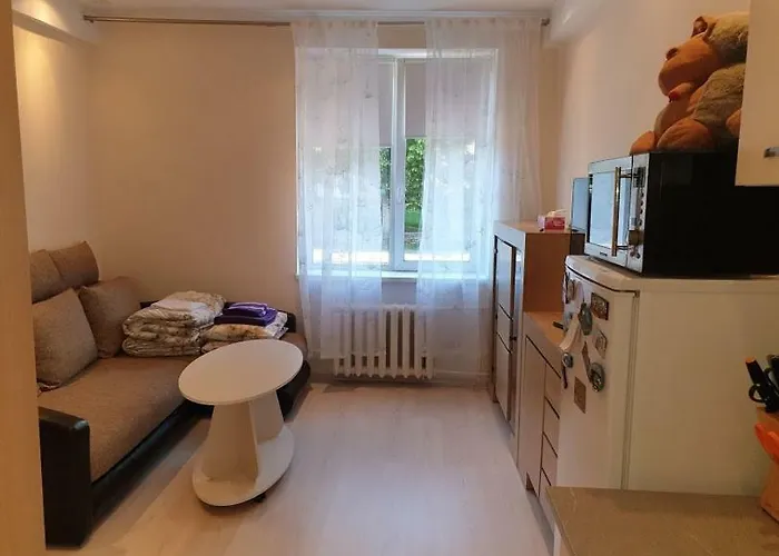Studio Apartment Located In The Center Of Tallinn.